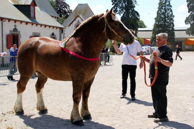 VAINQUEUR KERBOULER